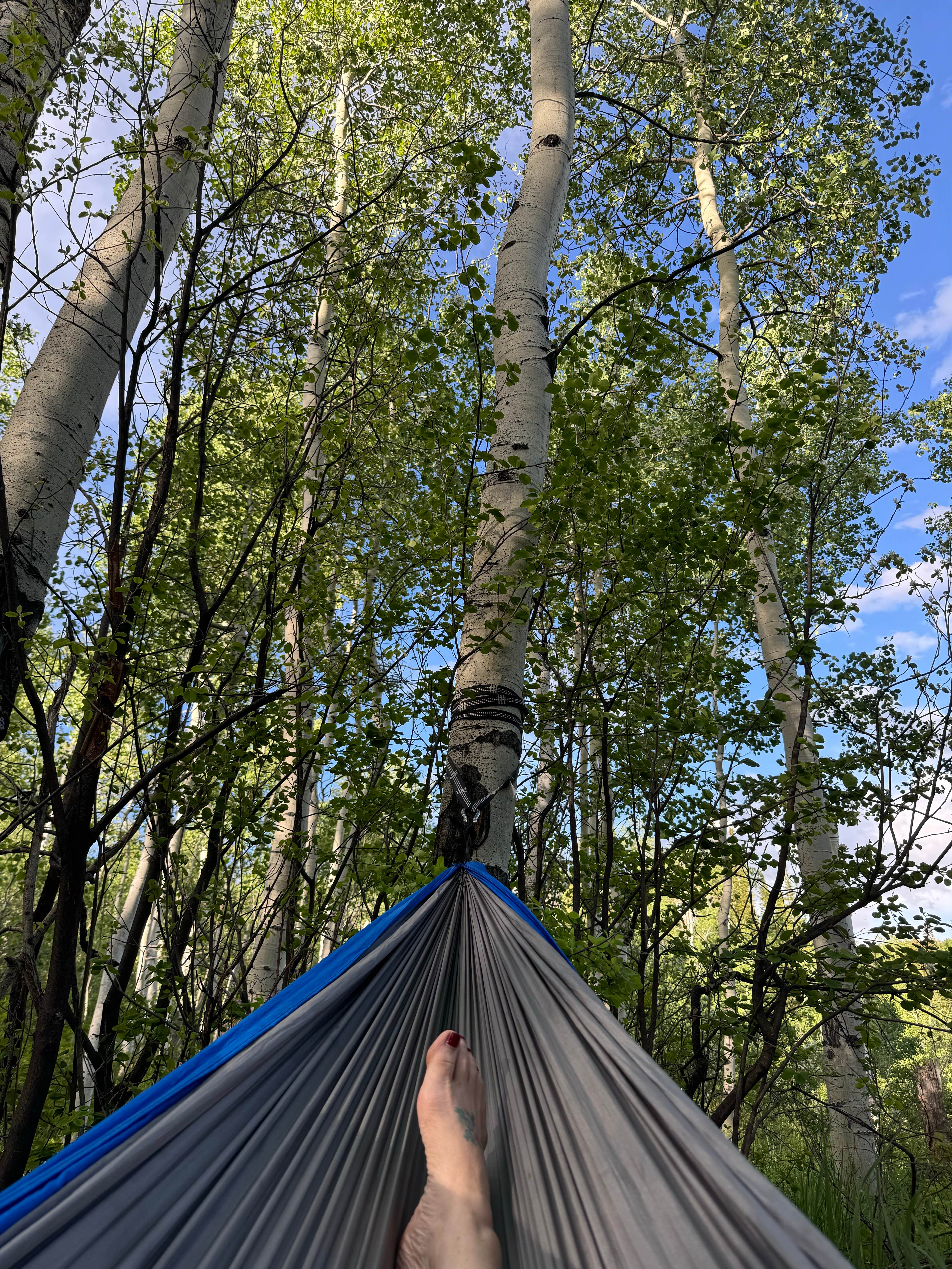 Camper-submitted photo at McClure Campground near Gunnison National Forest