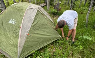 Rebecca M.'s photo at McClure Campground near Carbondale, CO