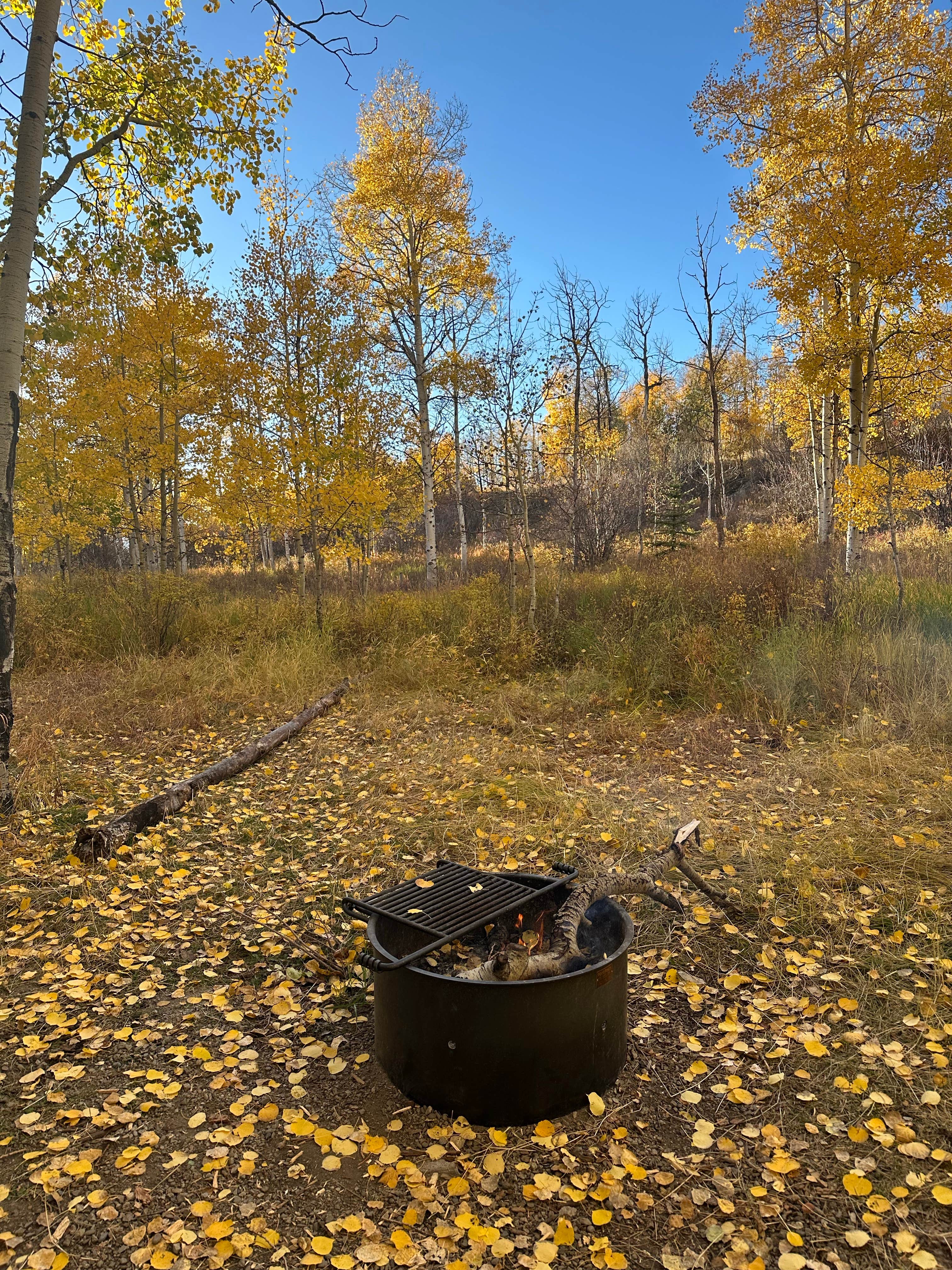 Camper-submitted photo at McClure Campground near Gunnison National Forest