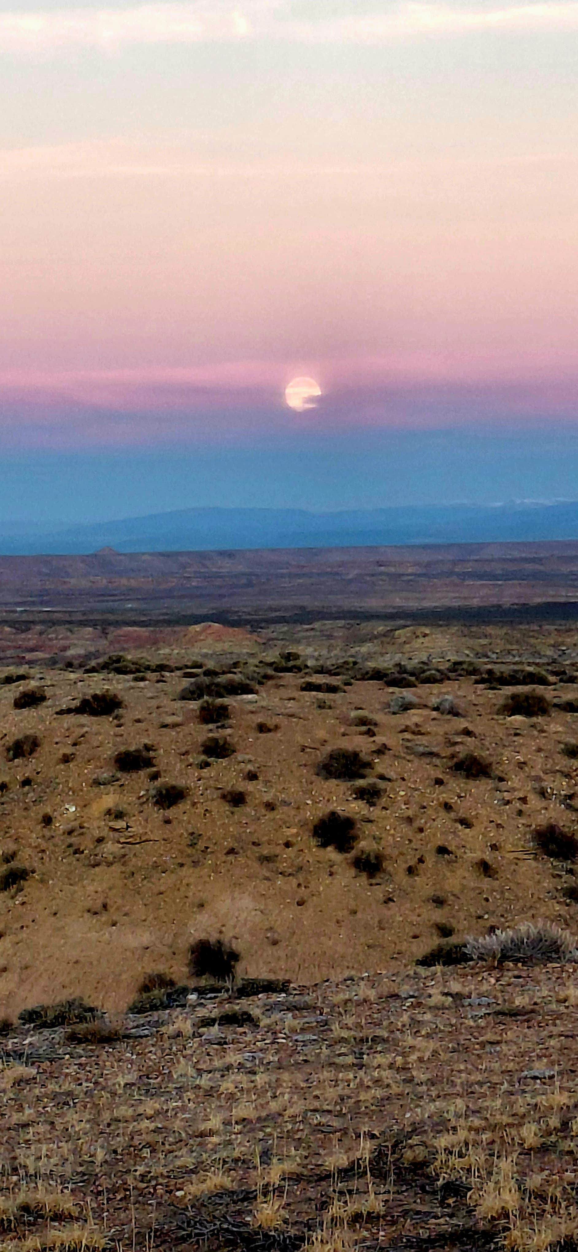 Todd T.'s photo of a dispersed camping area at McCoy Flats MTB Trailhead near Duchesne, UT