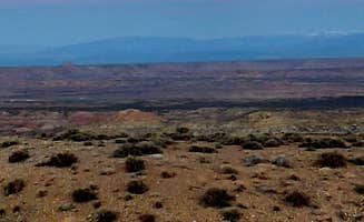 Todd T.'s photo of a dispersed camping area at McCoy Flats MTB Trailhead near Dinosaur National Monument