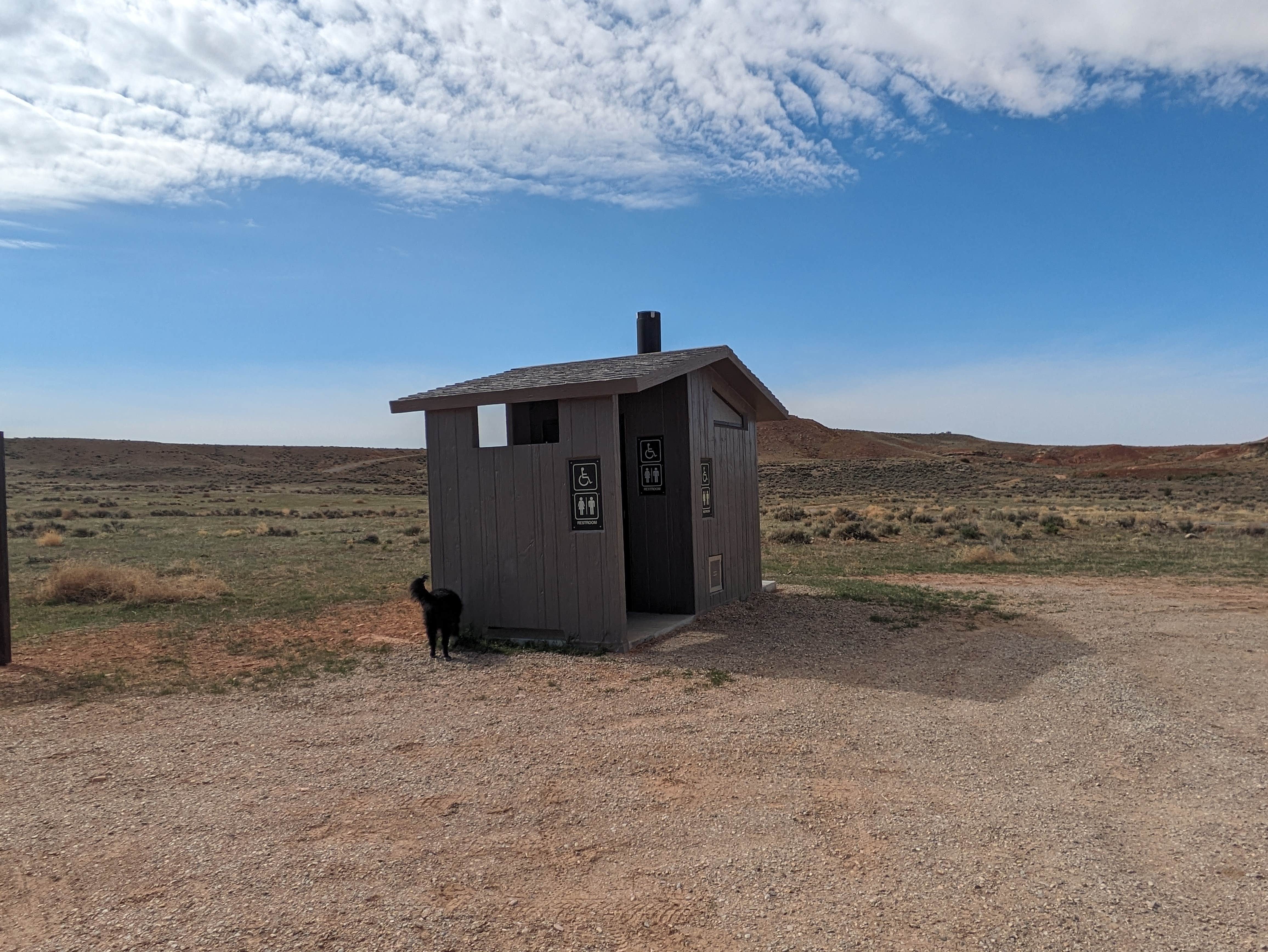 Greg L.'s photo of camping with pets at McCoy Flats East Dispersed Camp near Vernal, UT