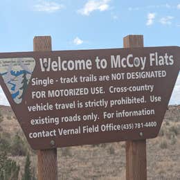 McCoy Flats East Dispersed Camp