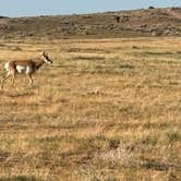 Review photo of McCoy Flats East Dispersed Camp by Blaine R., September 9, 2024