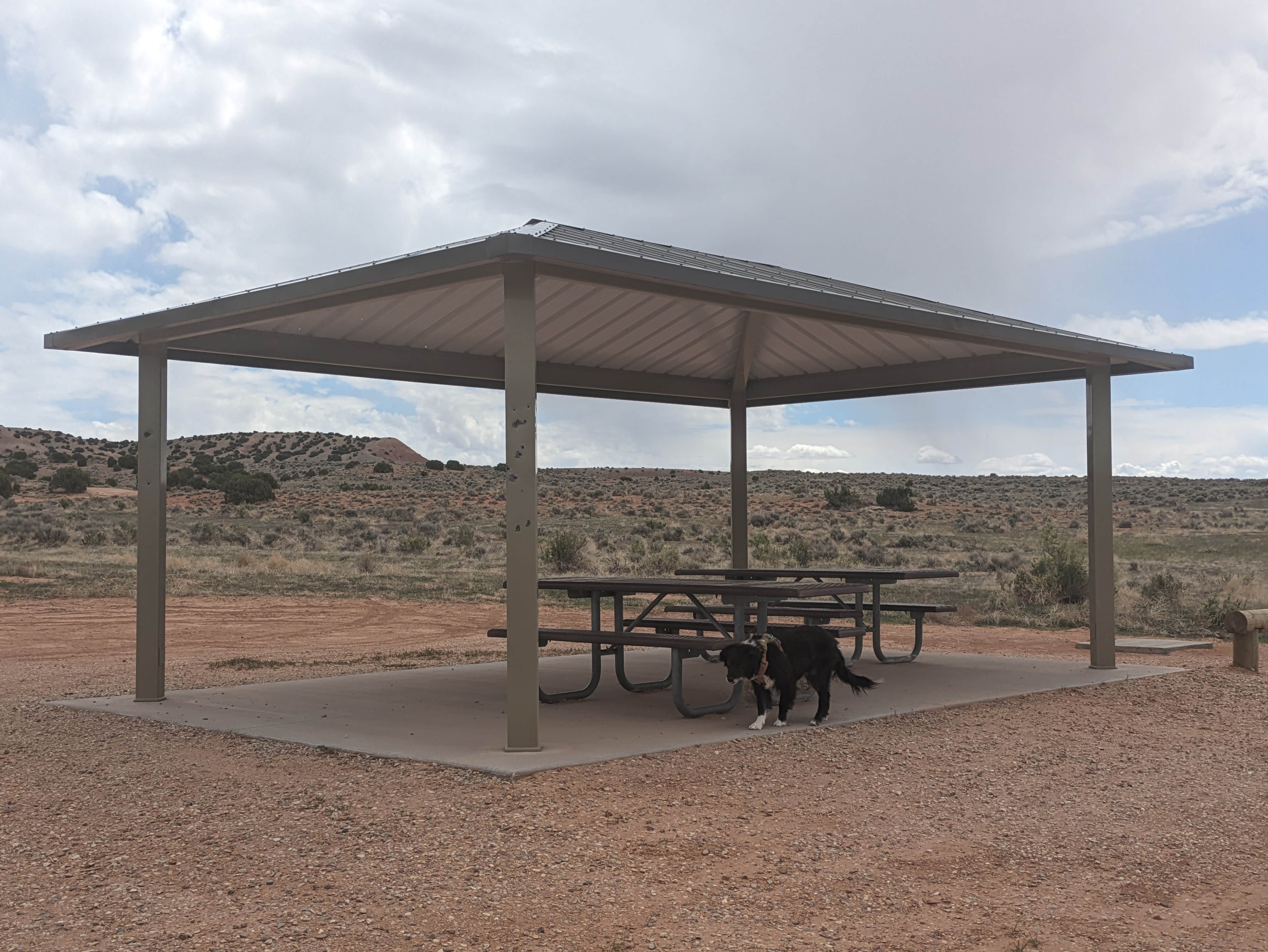 Camper-submitted photo at McCoy Flats Juniper Dispersed near Neola, UT