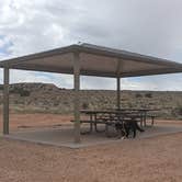 Review photo of McCoy Flats Juniper Dispersed by Greg L., May 10, 2024