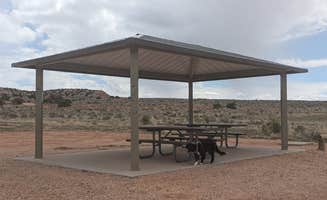Greg L.'s photo of camping with pets at McCoy Flats Juniper Dispersed near Vernal, UT
