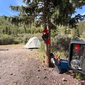 Review photo of McCullough Gulch Designated Dispersed Camping by Kerry D., July 14, 2026