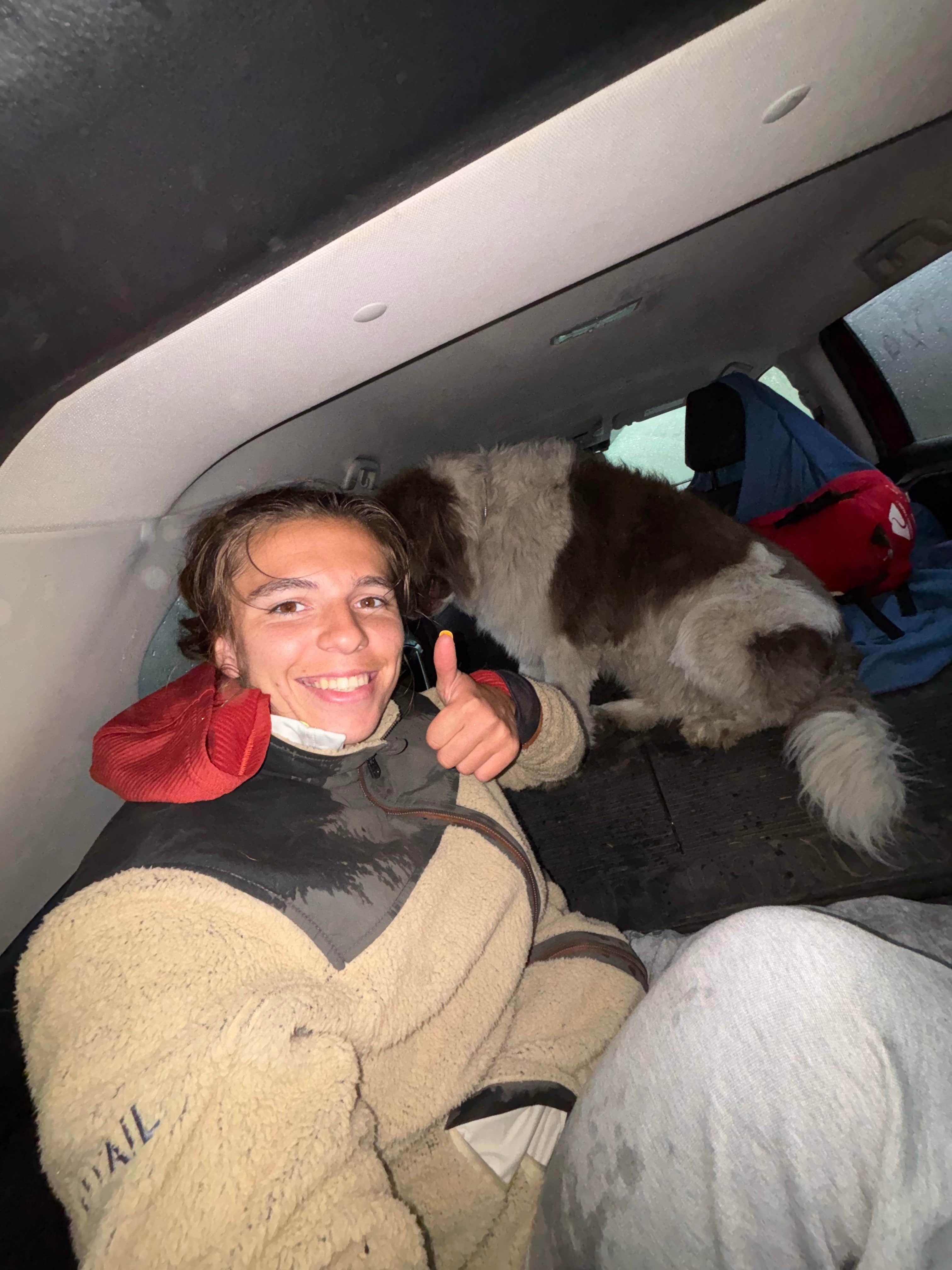 Nora S.'s photo of camping with pets at McCullough Gulch Designated Dispersed Camping near Climax, CO