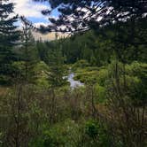 Review photo of McCullough Gulch Designated Dispersed Camping by Kerry D., July 14, 2026