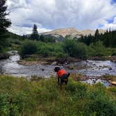 Review photo of McCullough Gulch Designated Dispersed Camping by Kerry D., July 14, 2026