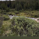 Review photo of McCullough Gulch Designated Dispersed Camping by Kerry D., July 14, 2026