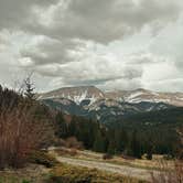 Review photo of McCullough Gulch Designated Dispersed Camping by Nora S., June 3, 2025