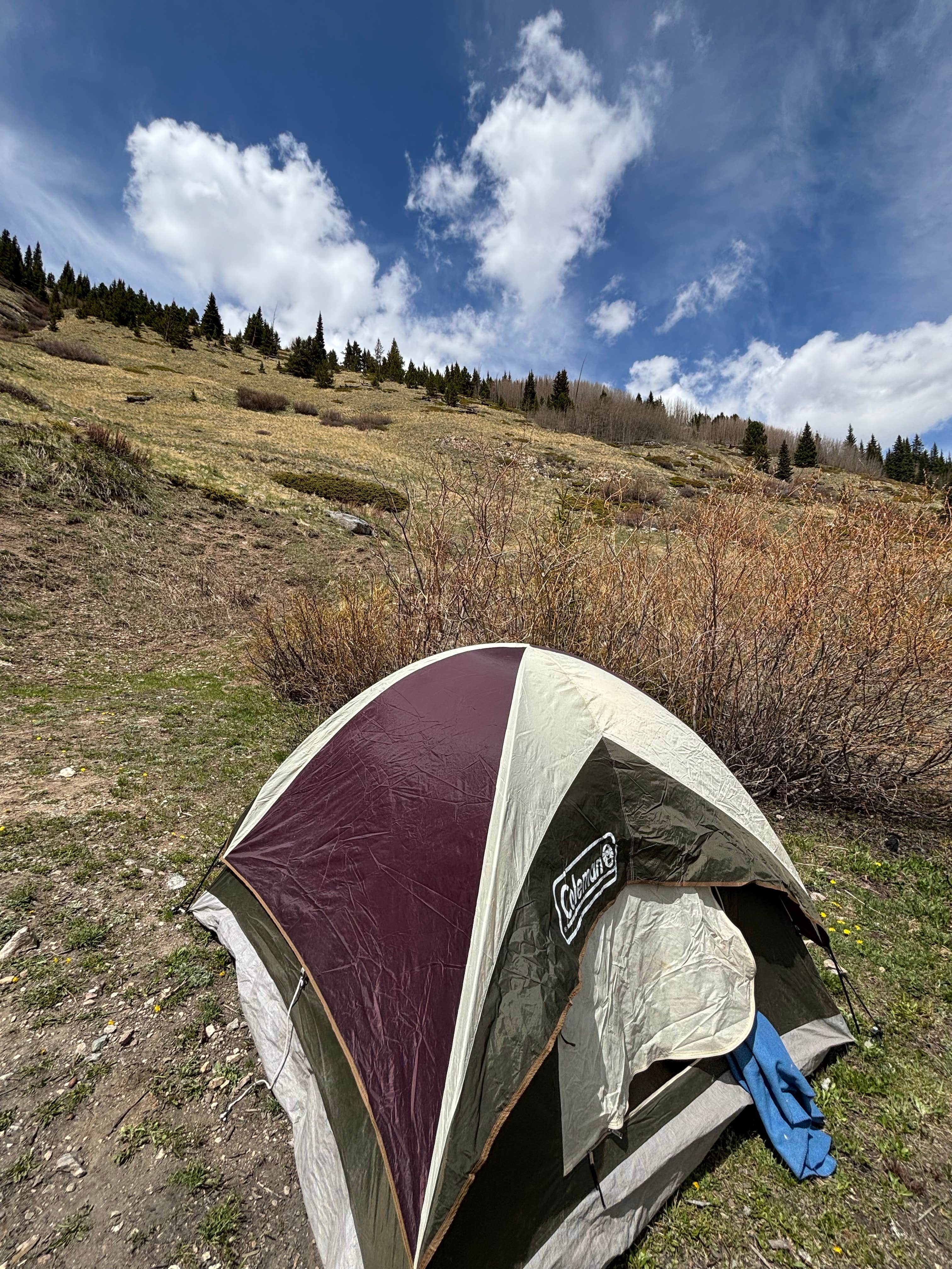 Camper submitted image from McCullough Gulch Designated Dispersed Camping - 1