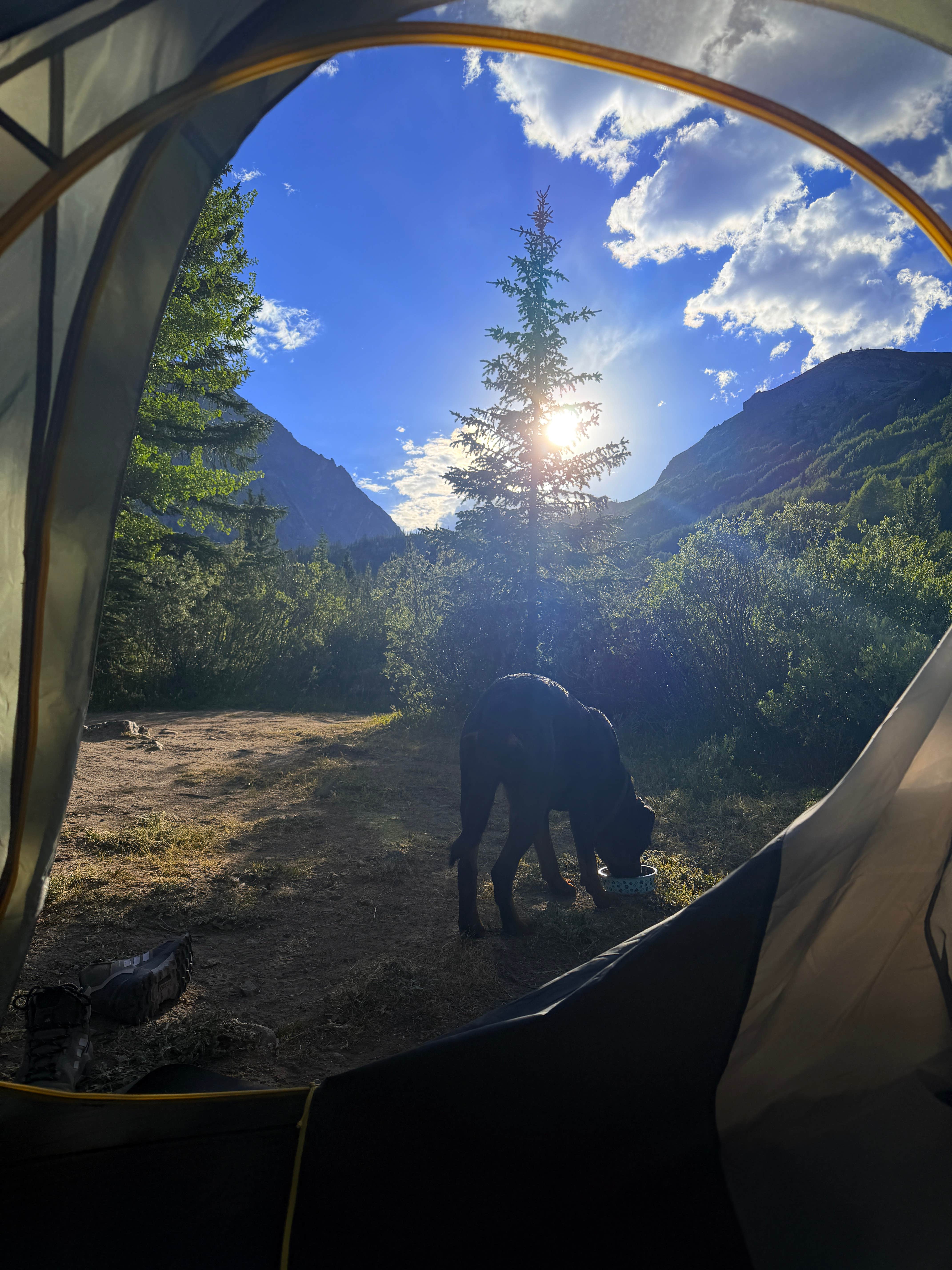 Camper-submitted photo at McCullough Gulch Designated Dispersed Camping near Fairplay, CO