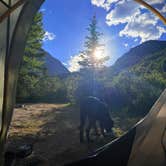 Review photo of McCullough Gulch Designated Dispersed Camping by Kerry D., July 14, 2026
