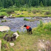 Review photo of McCullough Gulch Designated Dispersed Camping by Kerry D., July 14, 2026