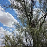 Review photo of McDowell Mountain Regional Park by John R., May 11, 2026