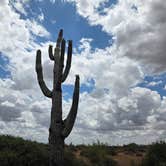 Review photo of McDowell Mountain Regional Park by John R., May 11, 2026