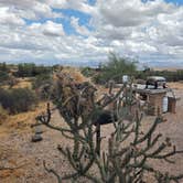 Review photo of McDowell Mountain Regional Park by John R., May 11, 2026