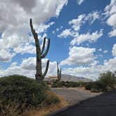 Review photo of McDowell Mountain Regional Park by John R., May 11, 2026