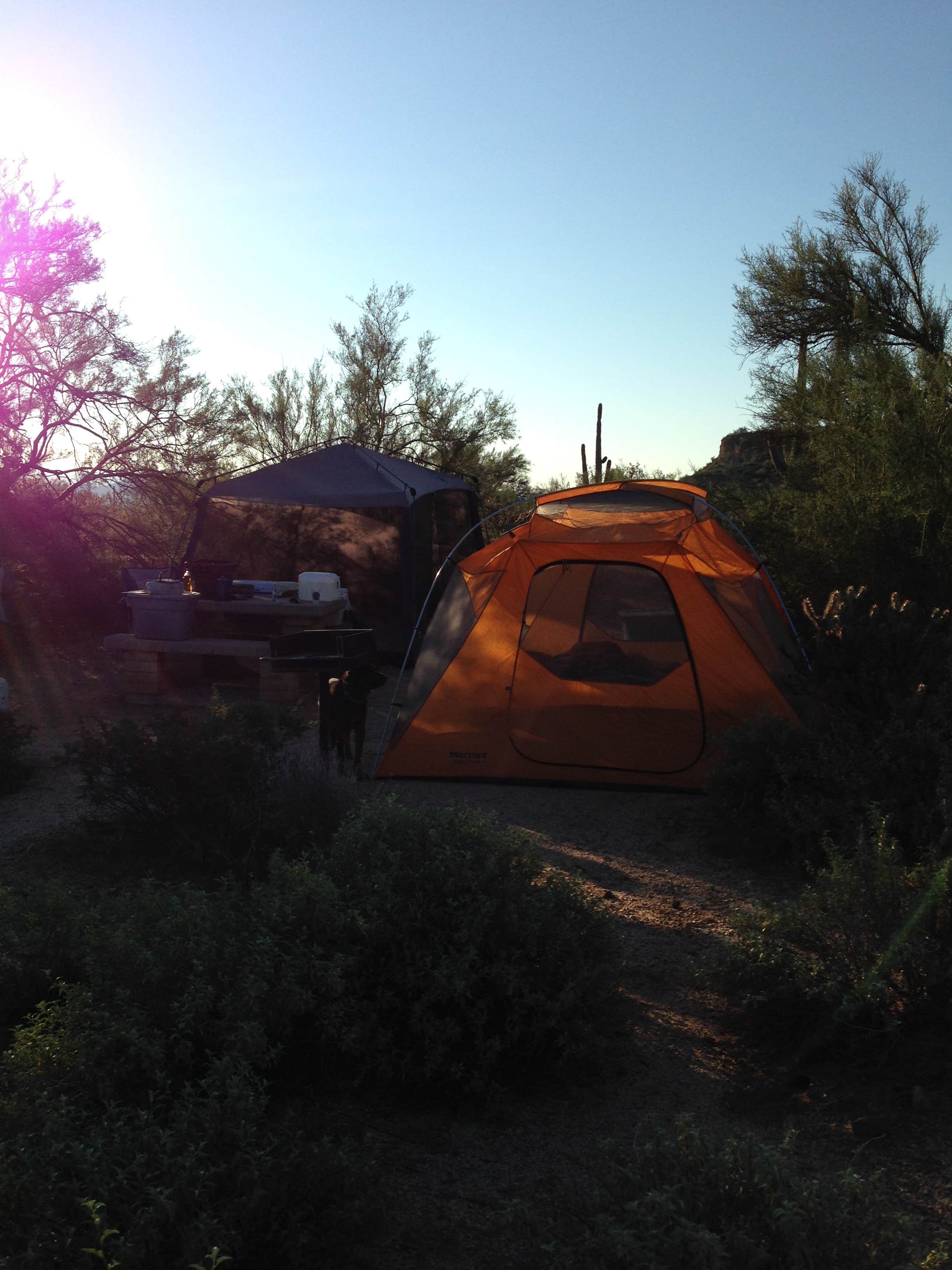 Rachel P.'s photo of tent camping at McDowell Regional Park-Ironwood near Glendale, AZ