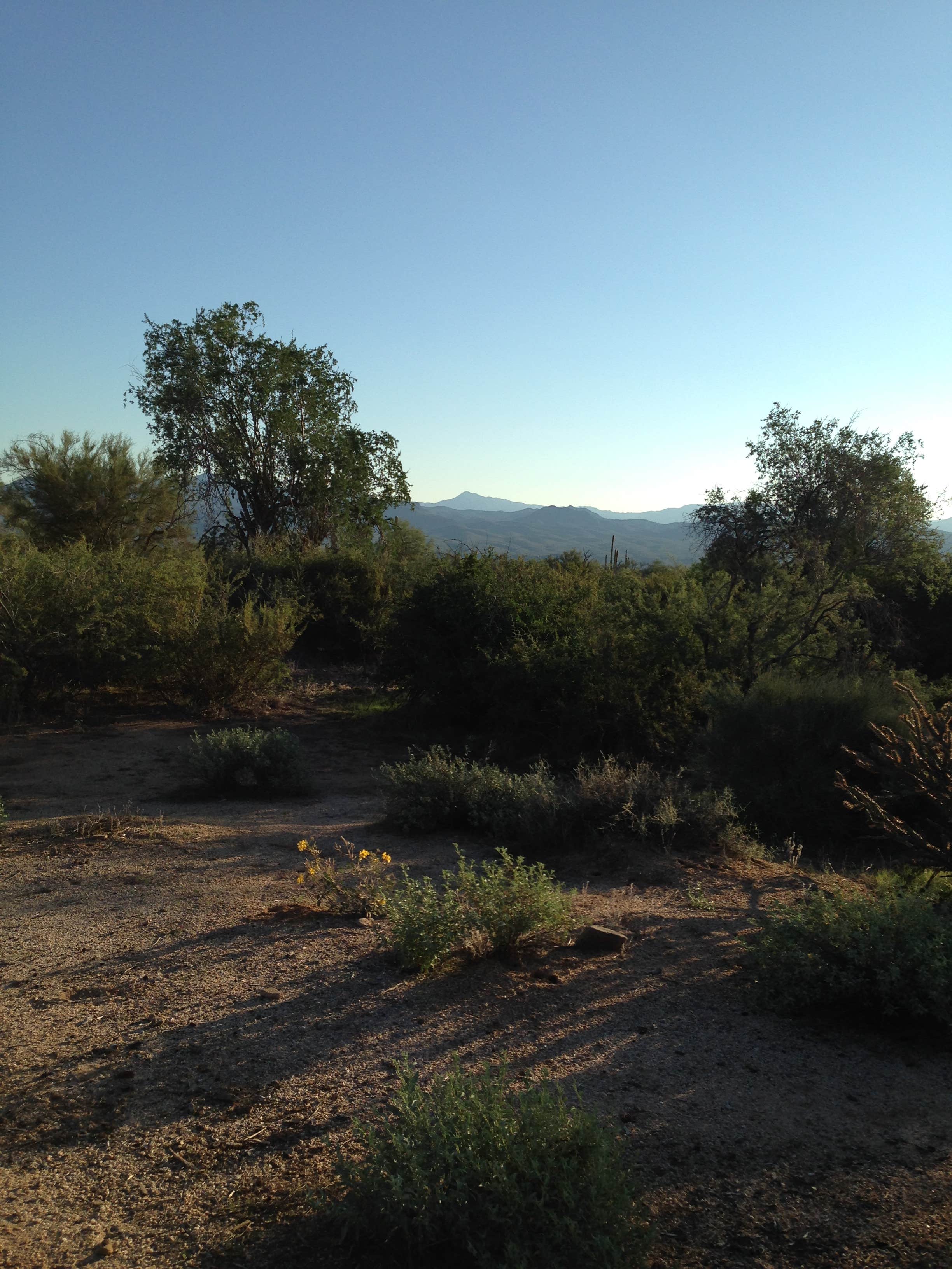 Camper submitted image from McDowell Regional Park-Ironwood - 5