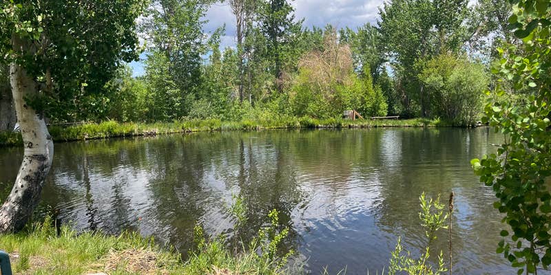 Camper submitted image from McGee Creek RV Park & Campground