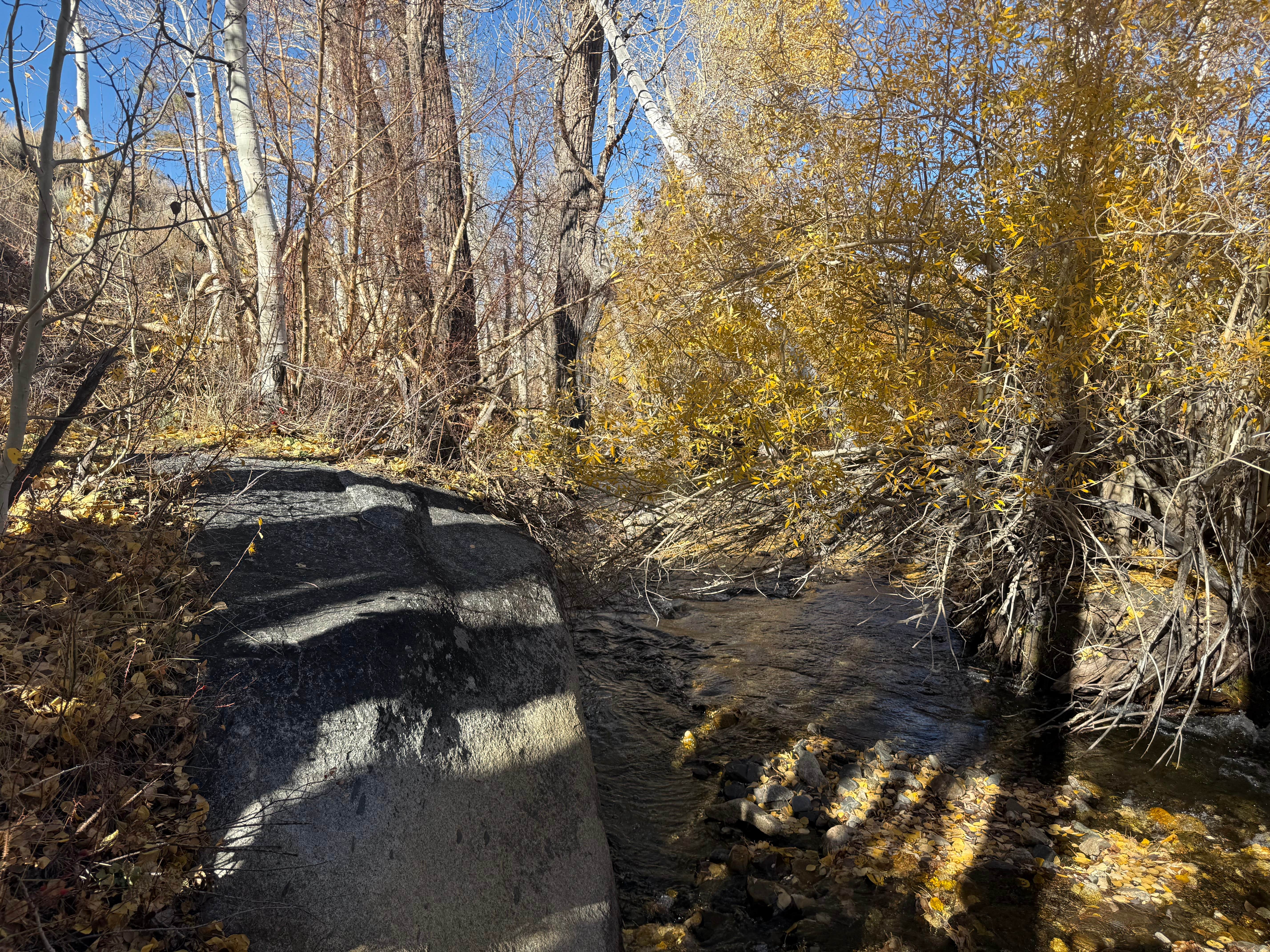 Camper submitted image from McGee Creek - 4