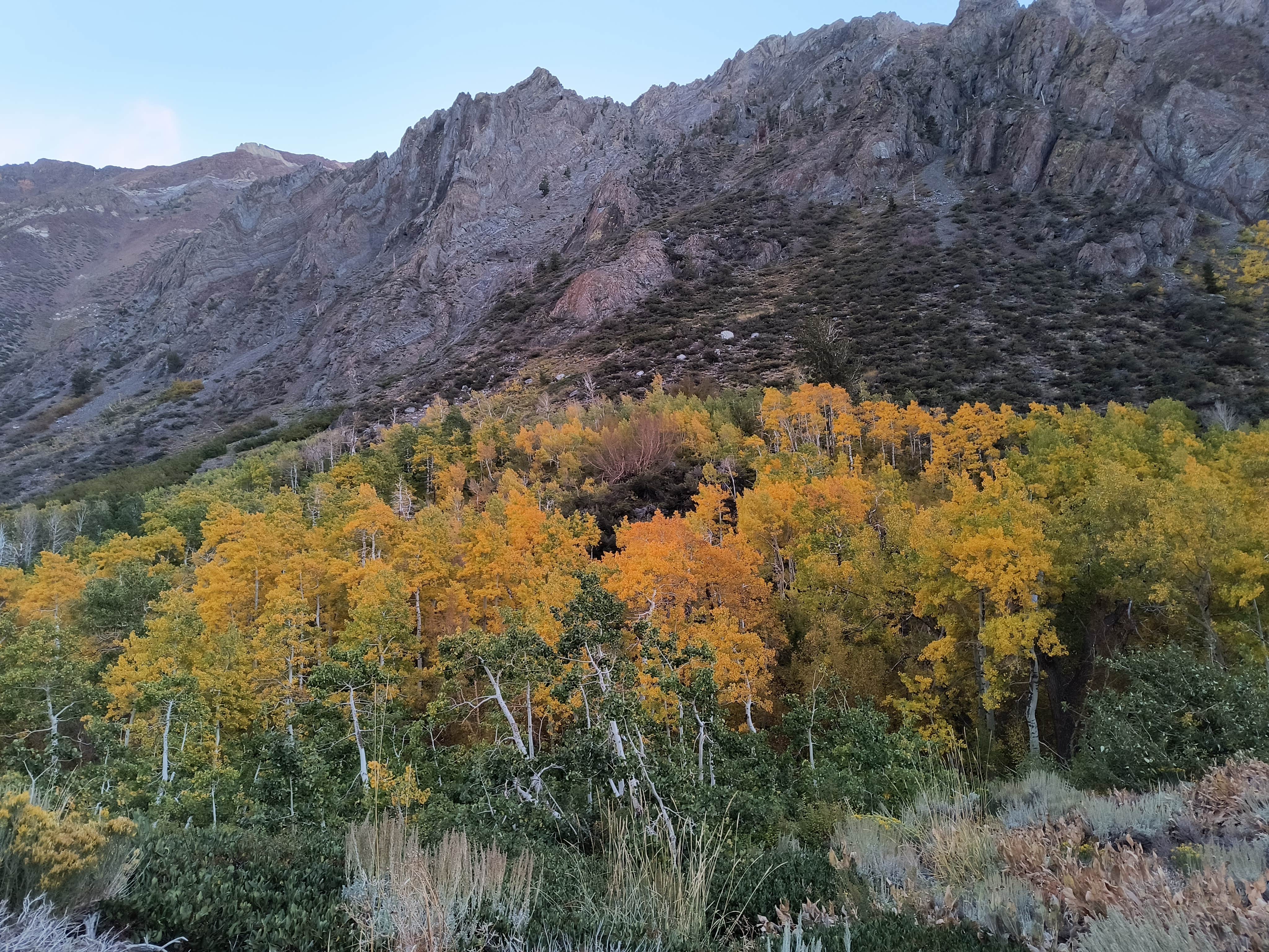 Camper-submitted photo at McGee Creek near Big Pine, CA