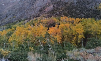 Camping near Pleasant Valley Pit Campground: McGee Creek, Bishop, California