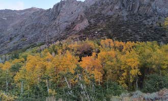 Camping near Pleasant Valley Campground: McGee Creek, Bishop, California