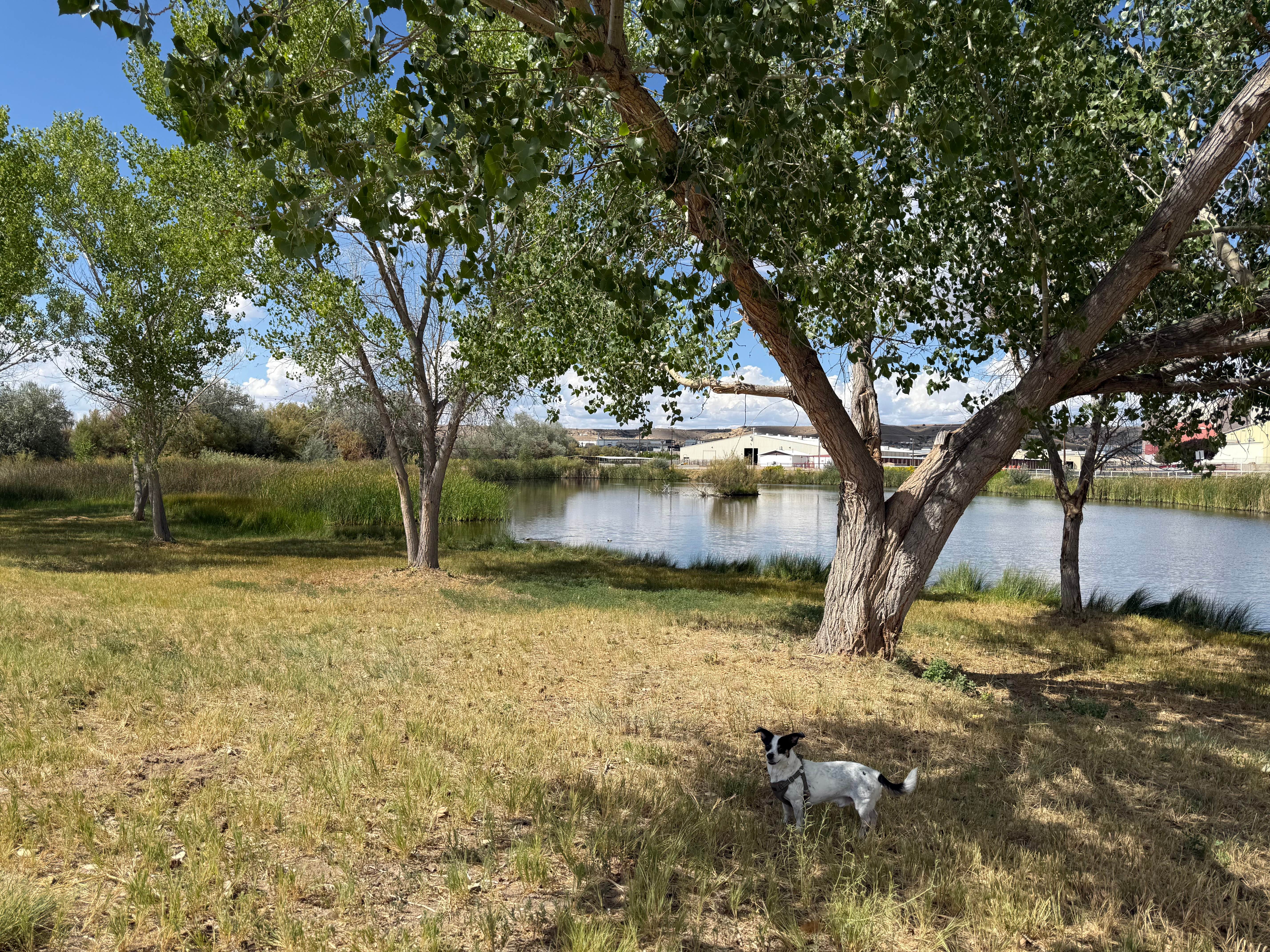 Camper submitted image from San Juan McGee Park RV Camping - 2