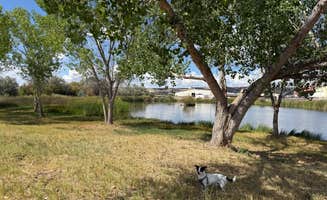 Shawn's photo of camping with pets at San Juan McGee Park RV Camping near Nageezi, NM