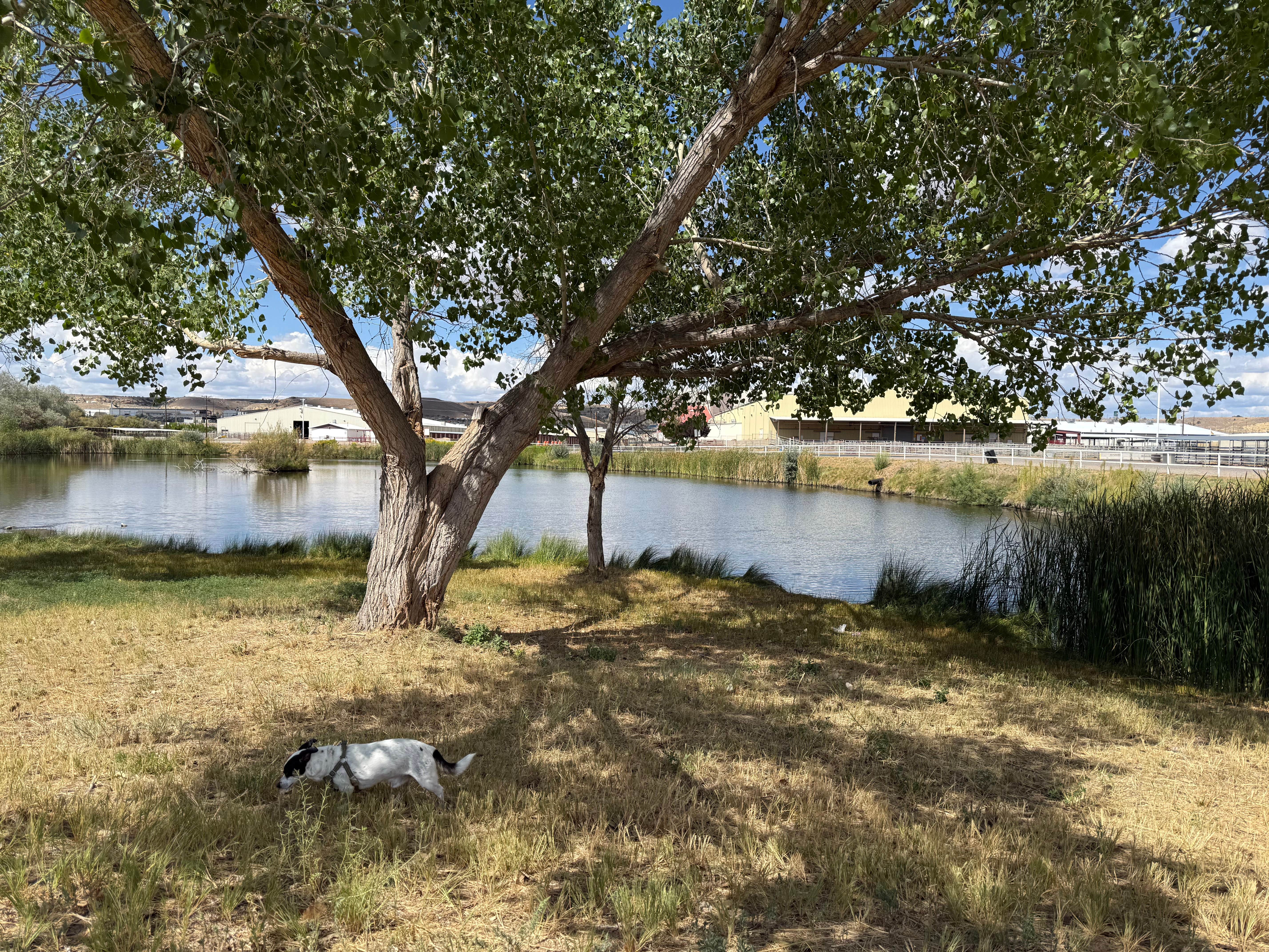 Camper submitted image from San Juan McGee Park RV Camping - 3