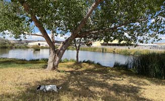 Shawn's photo of camping with pets at San Juan McGee Park RV Camping near Nageezi, NM