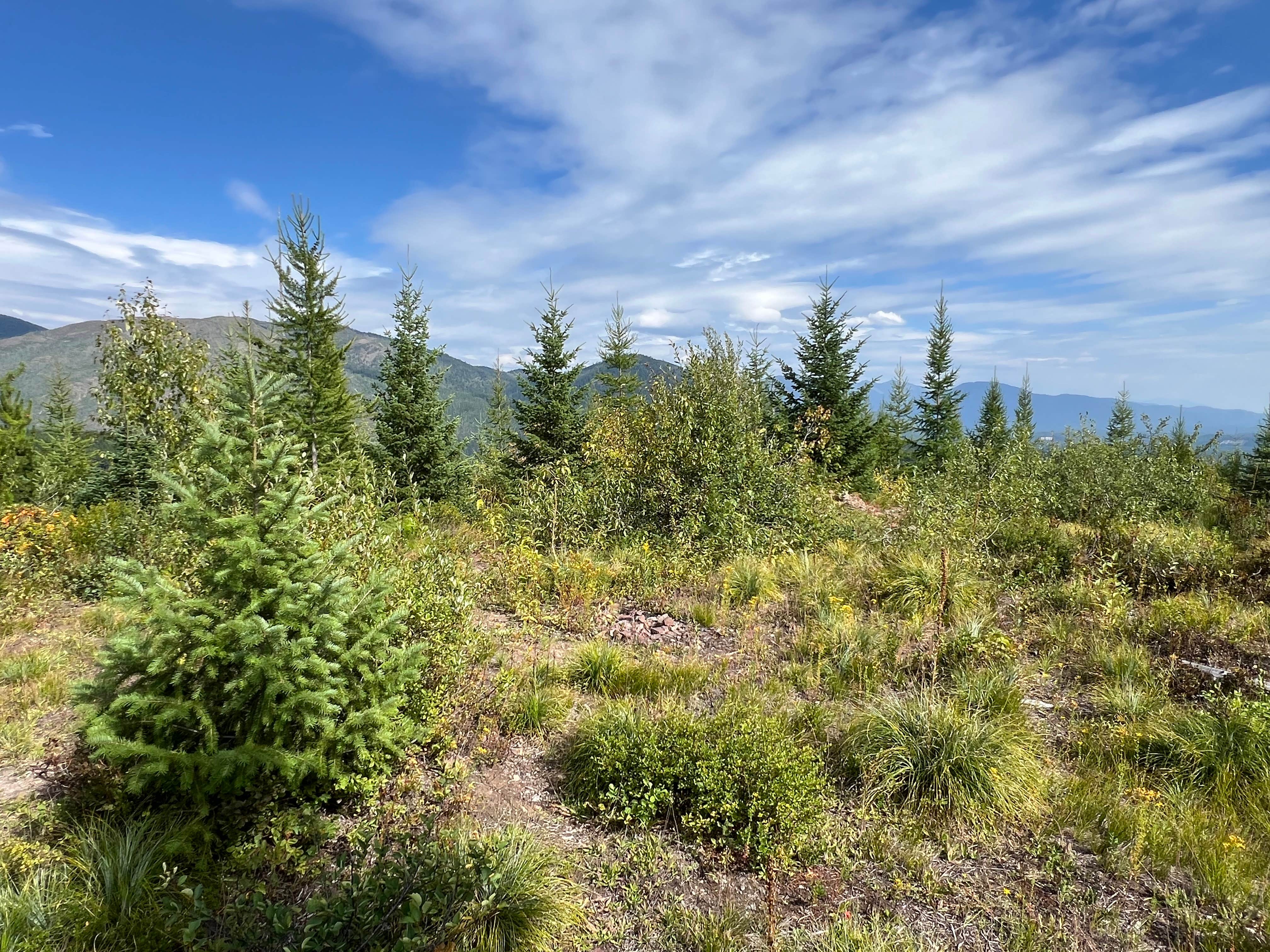 Camping near Big Creek Campground (flathead National Forest, Mt): McGinnis Creek, West Glacier, Montana