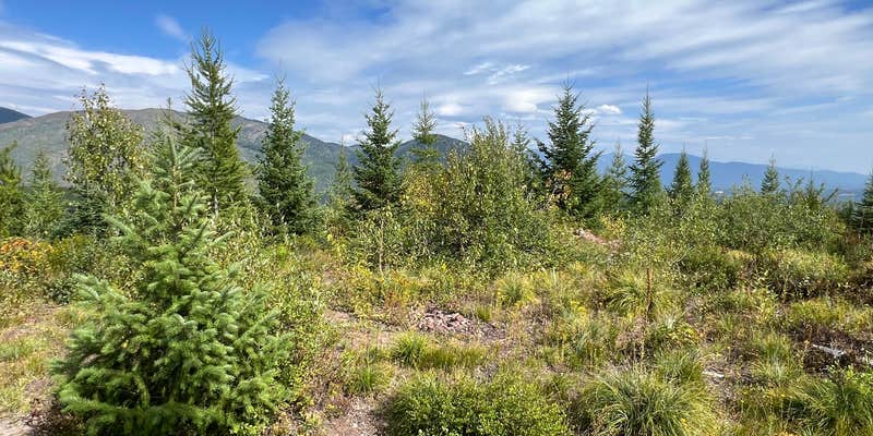 Camper submitted image from McGinnis Creek