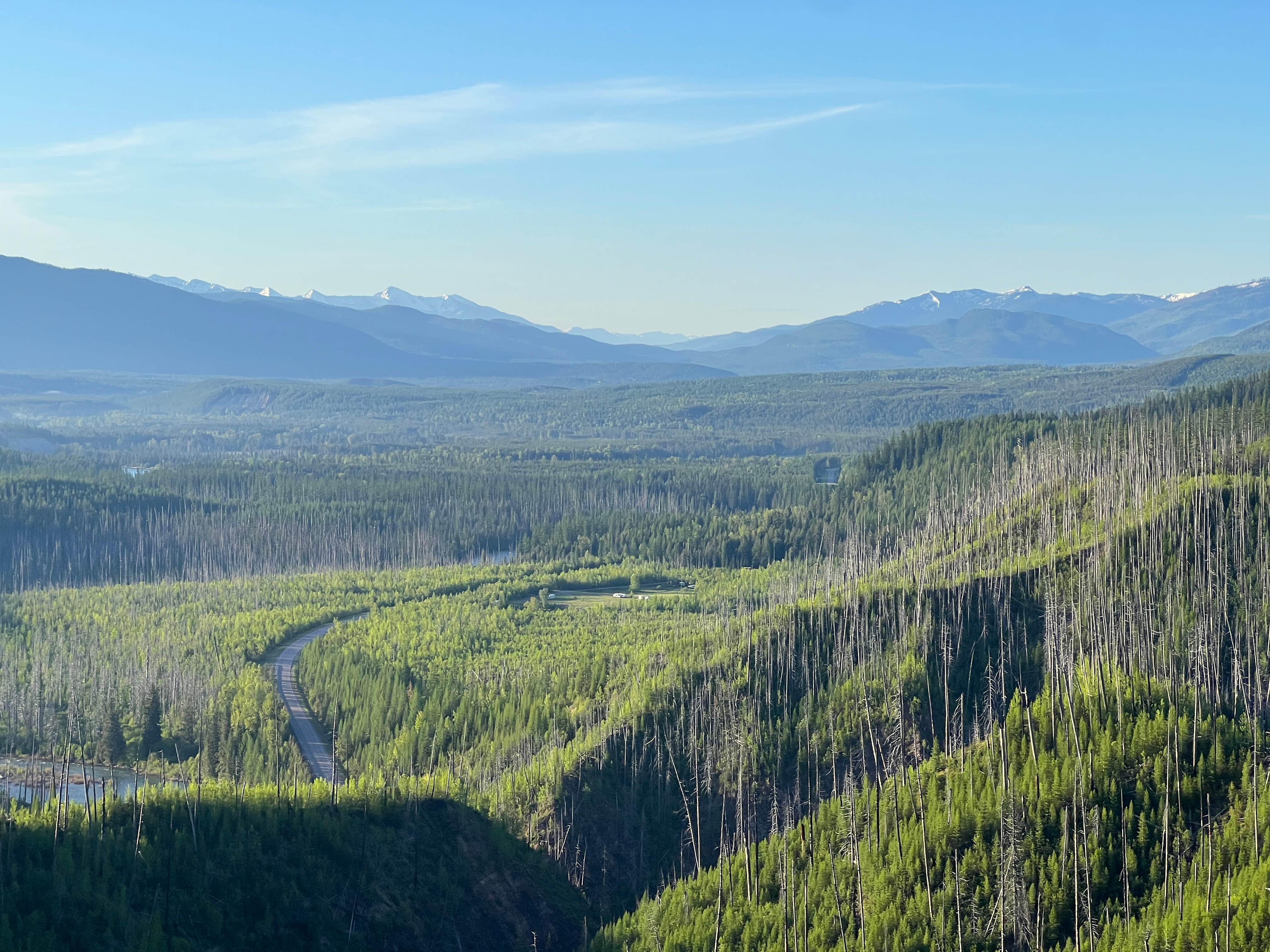 Camper-submitted photo at McGinnis Creek near Columbia Falls, MT