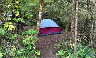 M00na A.'s photo at Paradise Campground near Willamette National Forest