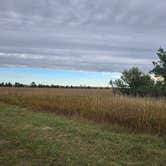 Review photo of Mckenzie Slough State Game Management Area by Teresa T., October 2, 2026