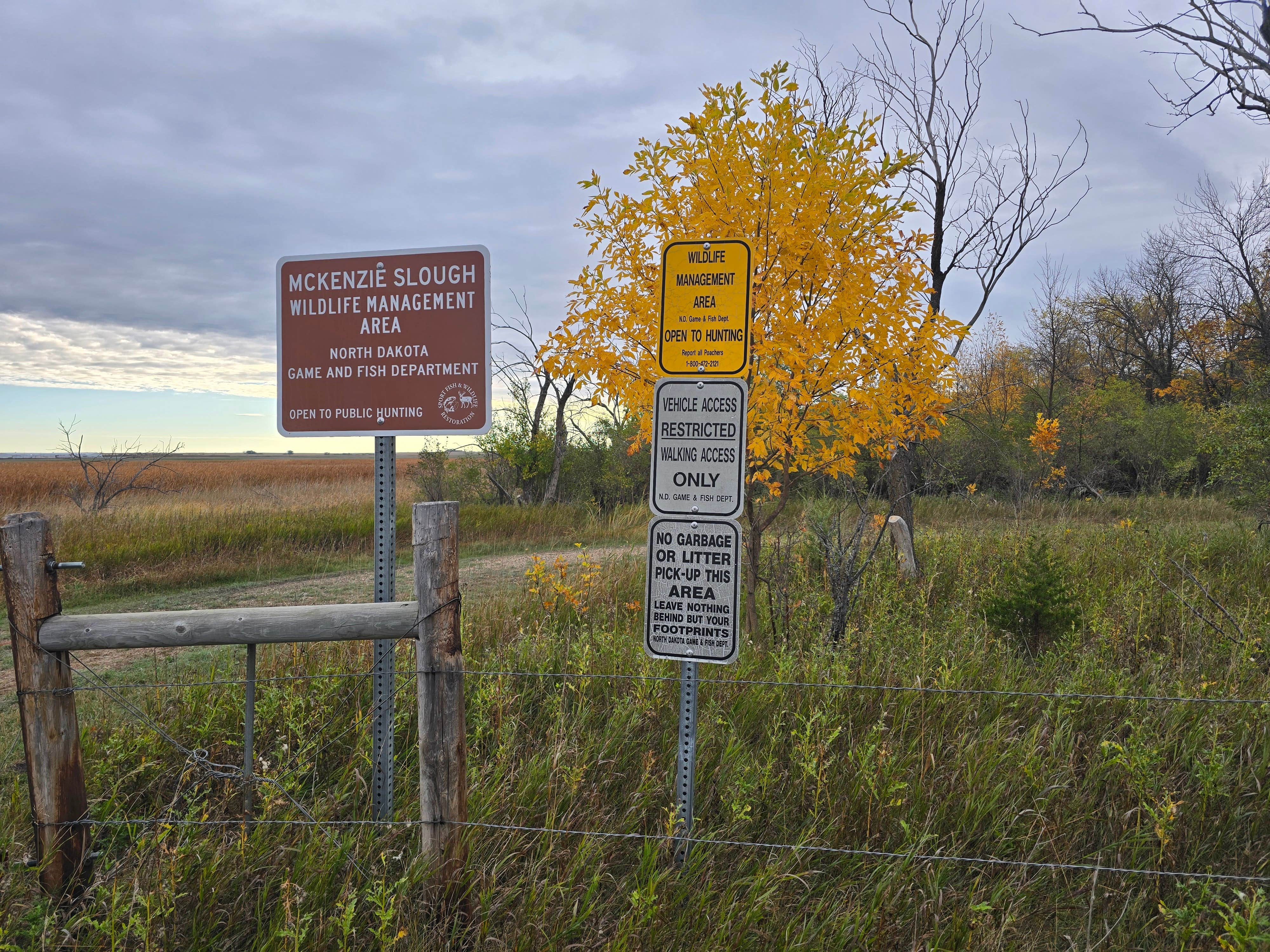 Camper-submitted photo at Mckenzie Slough State Game Management Area in North Dakota