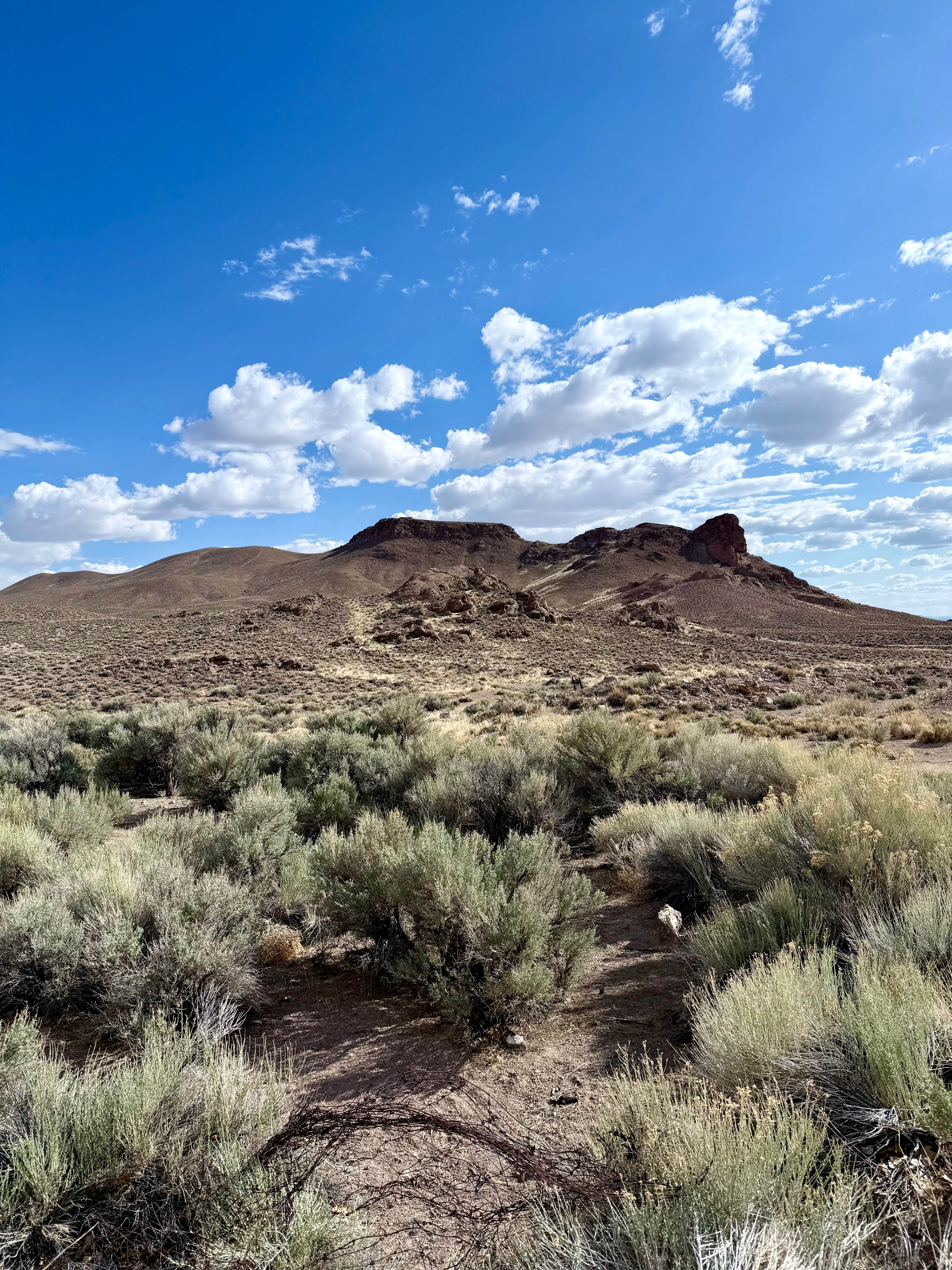 Camper-submitted photo at McKinney Tanks Camp near Tonopah, NV