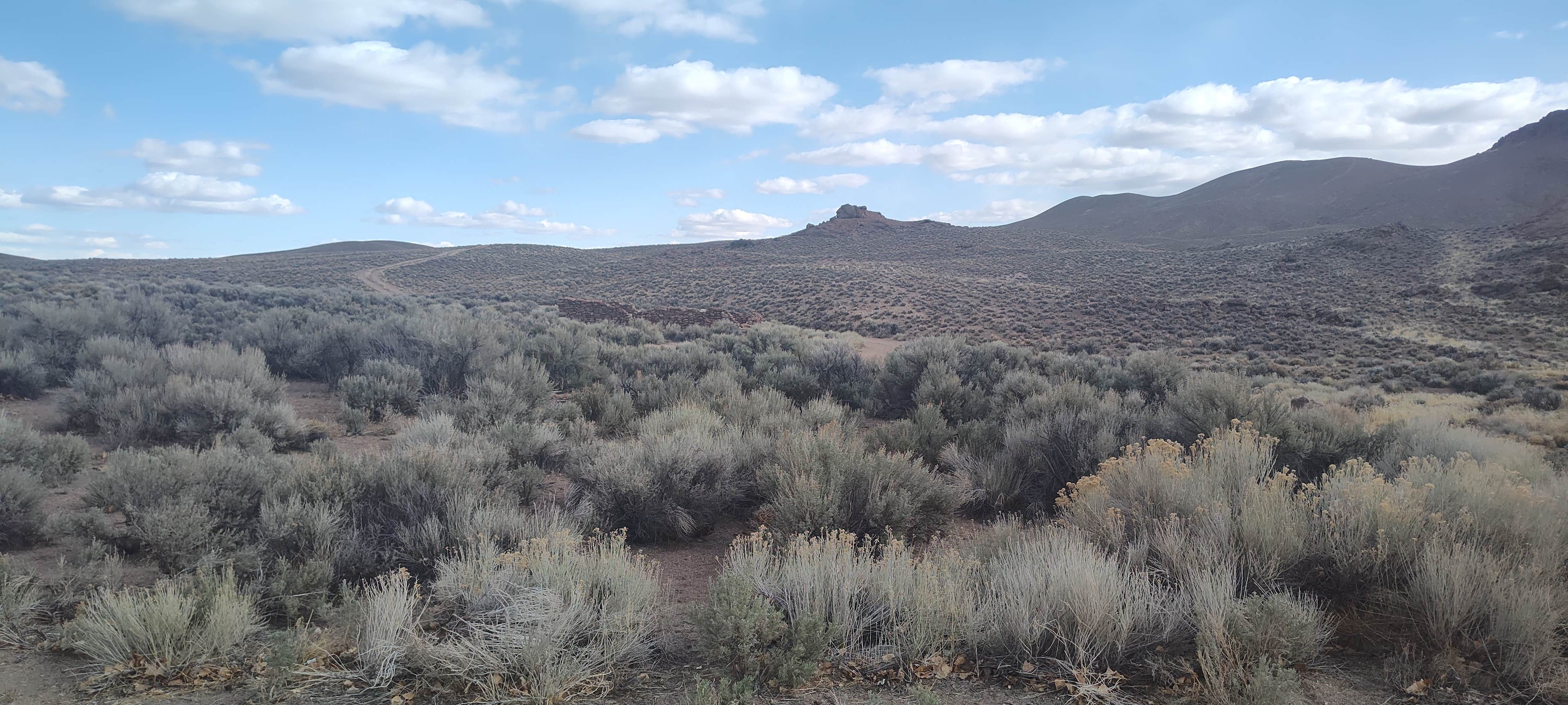Camper-submitted photo at McKinney Tanks Camp near Tonopah, NV