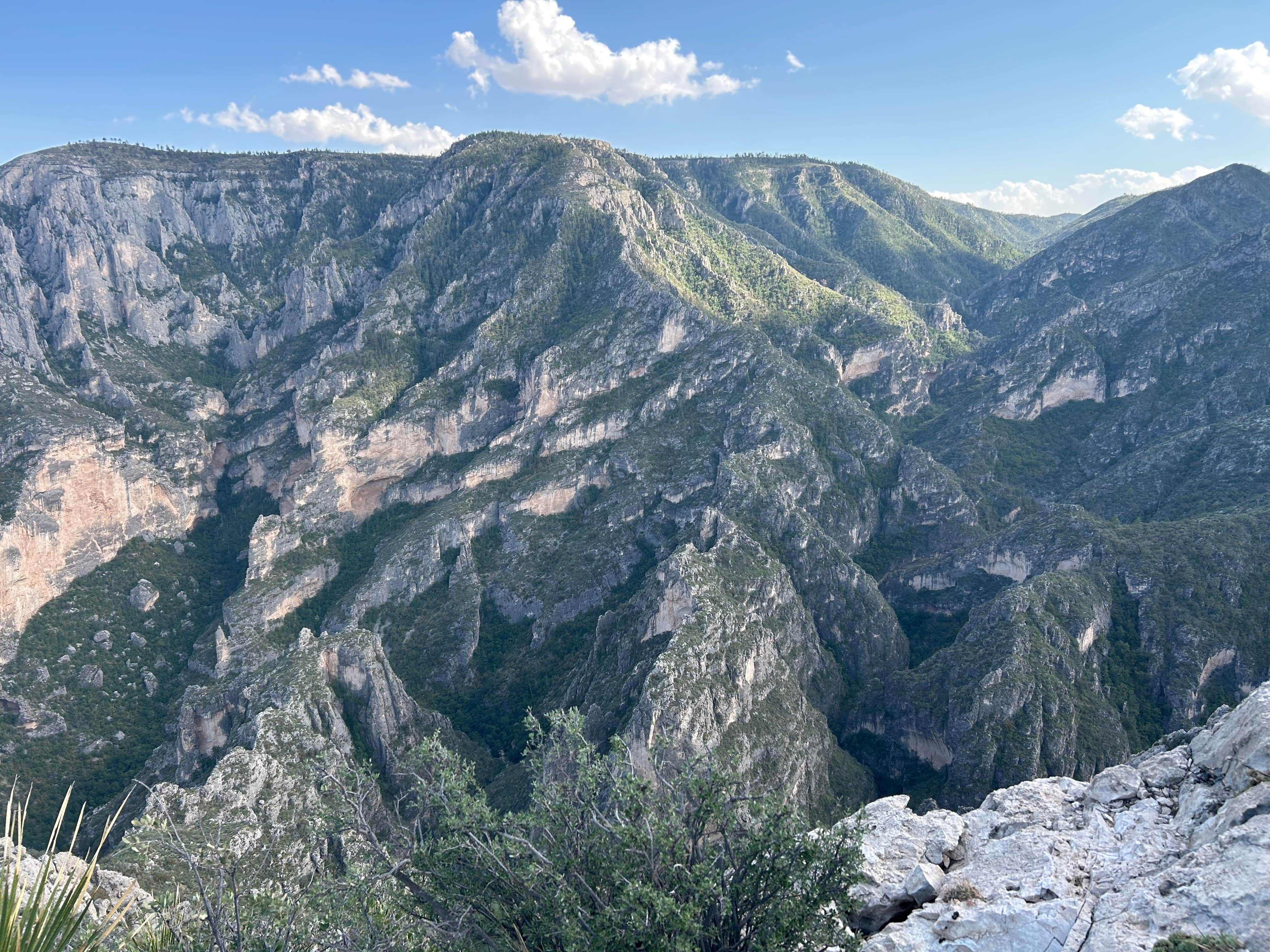 Camper submitted image from McKittrick Ridge Wilderness Campground - 2