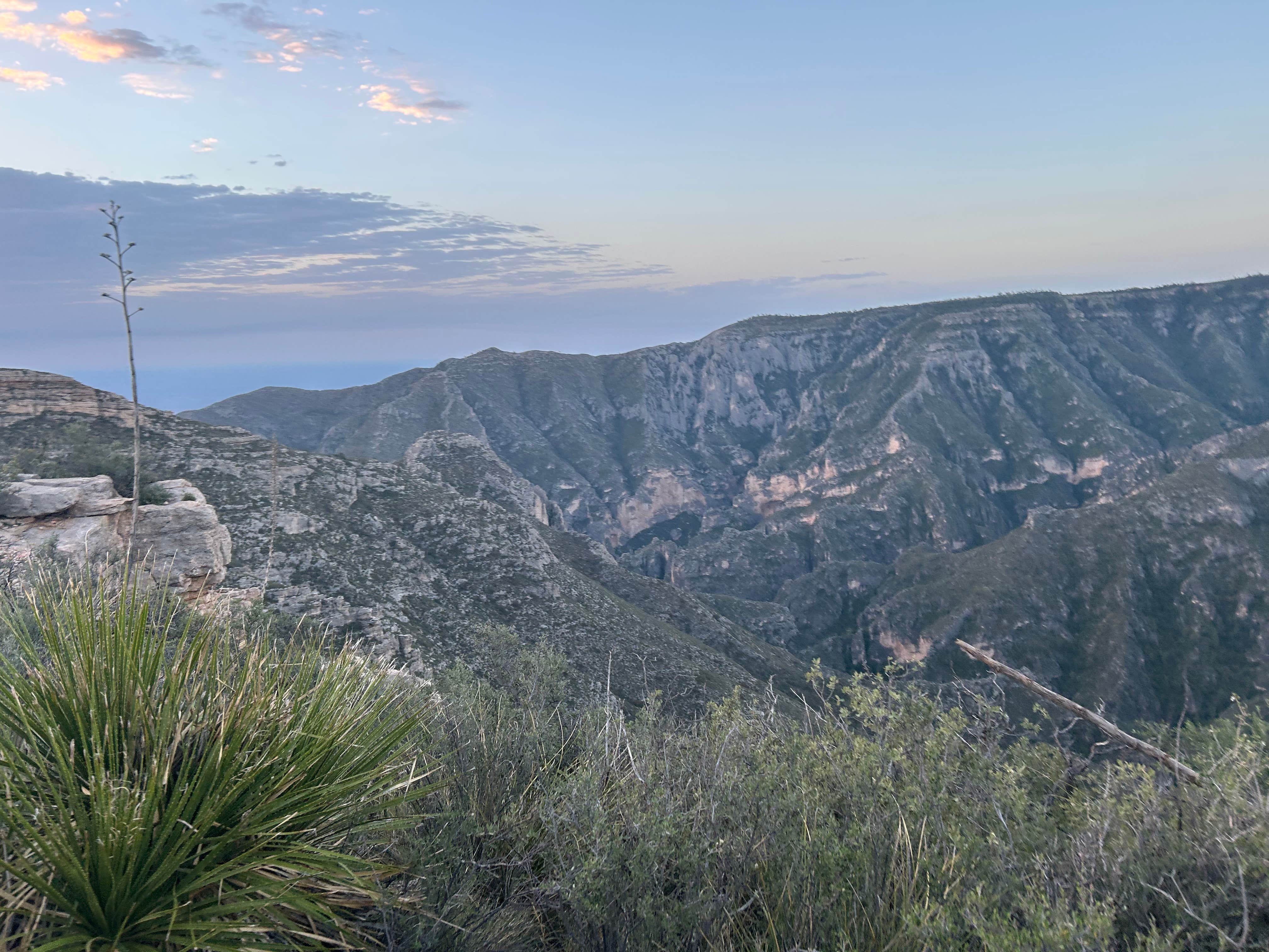 Camper submitted image from McKittrick Ridge Wilderness Campground - 1