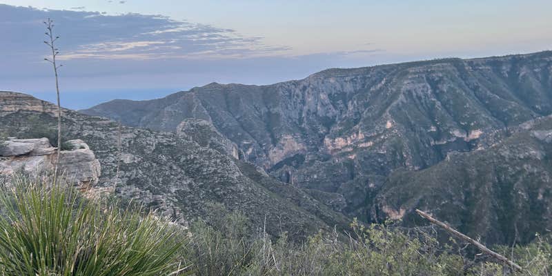 Camper submitted image from McKittrick Ridge Wilderness Campground