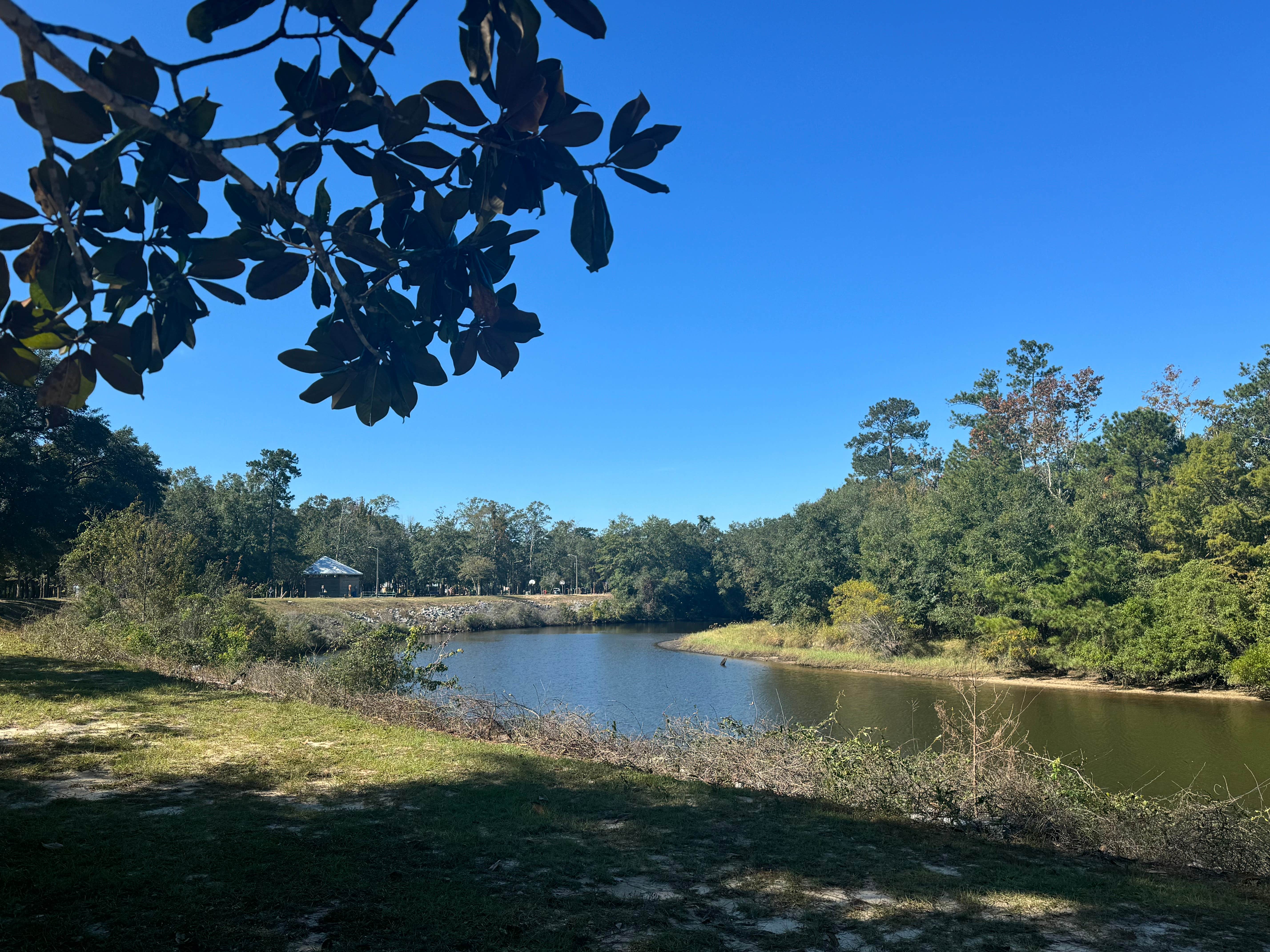Camper-submitted photo at McLeod Park Campground near Pearl River, LA