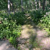 Review photo of MacQueen Forest Preserve by Darshon J., July 27, 2024