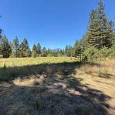 Review photo of Meadow Camp Campground — Plumas National Forest by Patricia N., July 16, 2026